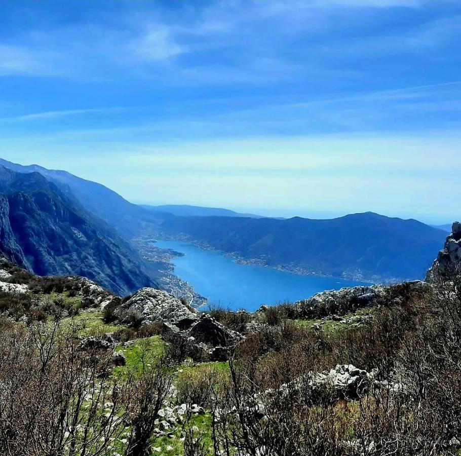 Apartments Pejanovic Κότορ Εξωτερικό φωτογραφία
