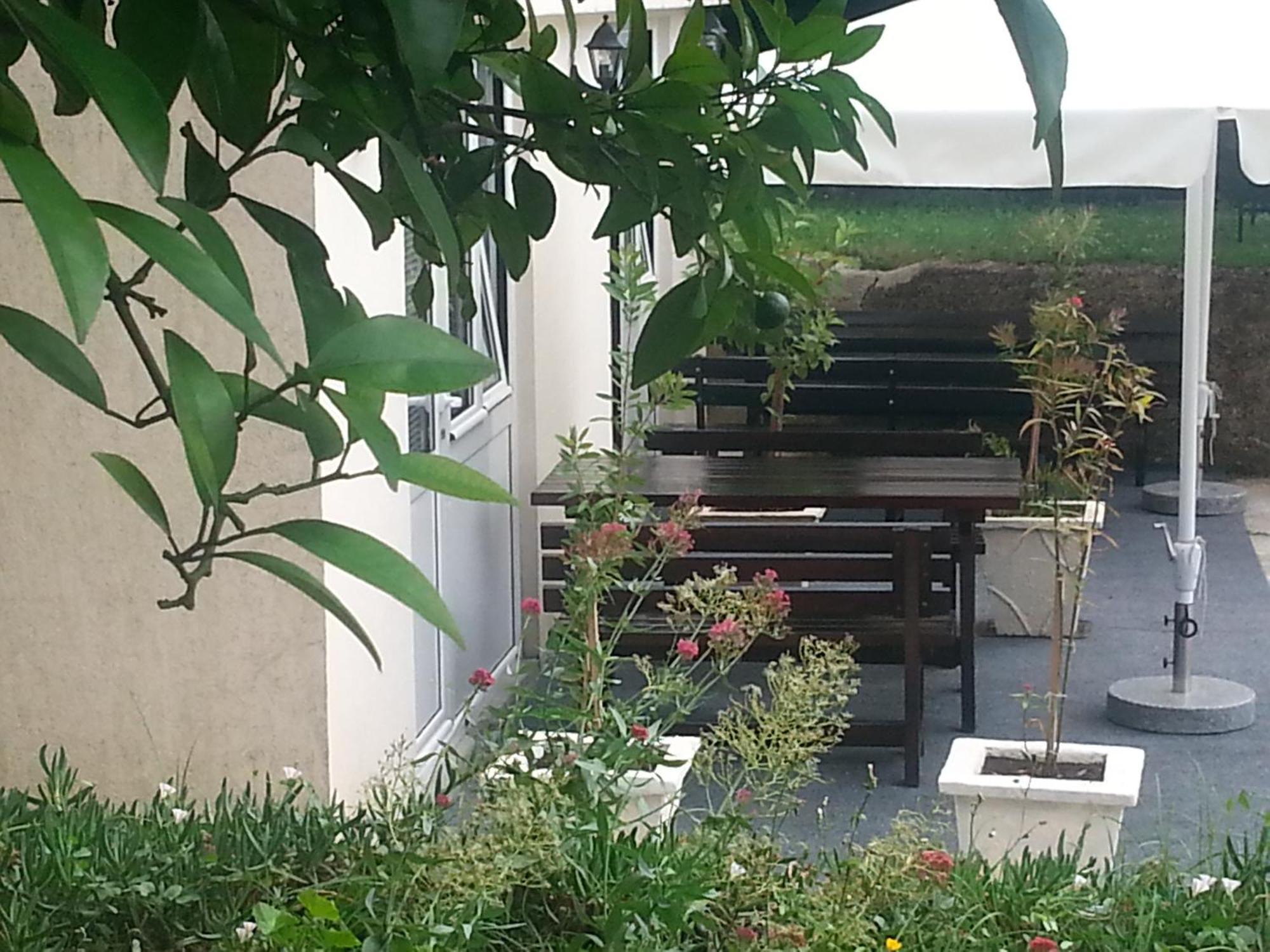 Apartments Pejanovic Κότορ Εξωτερικό φωτογραφία