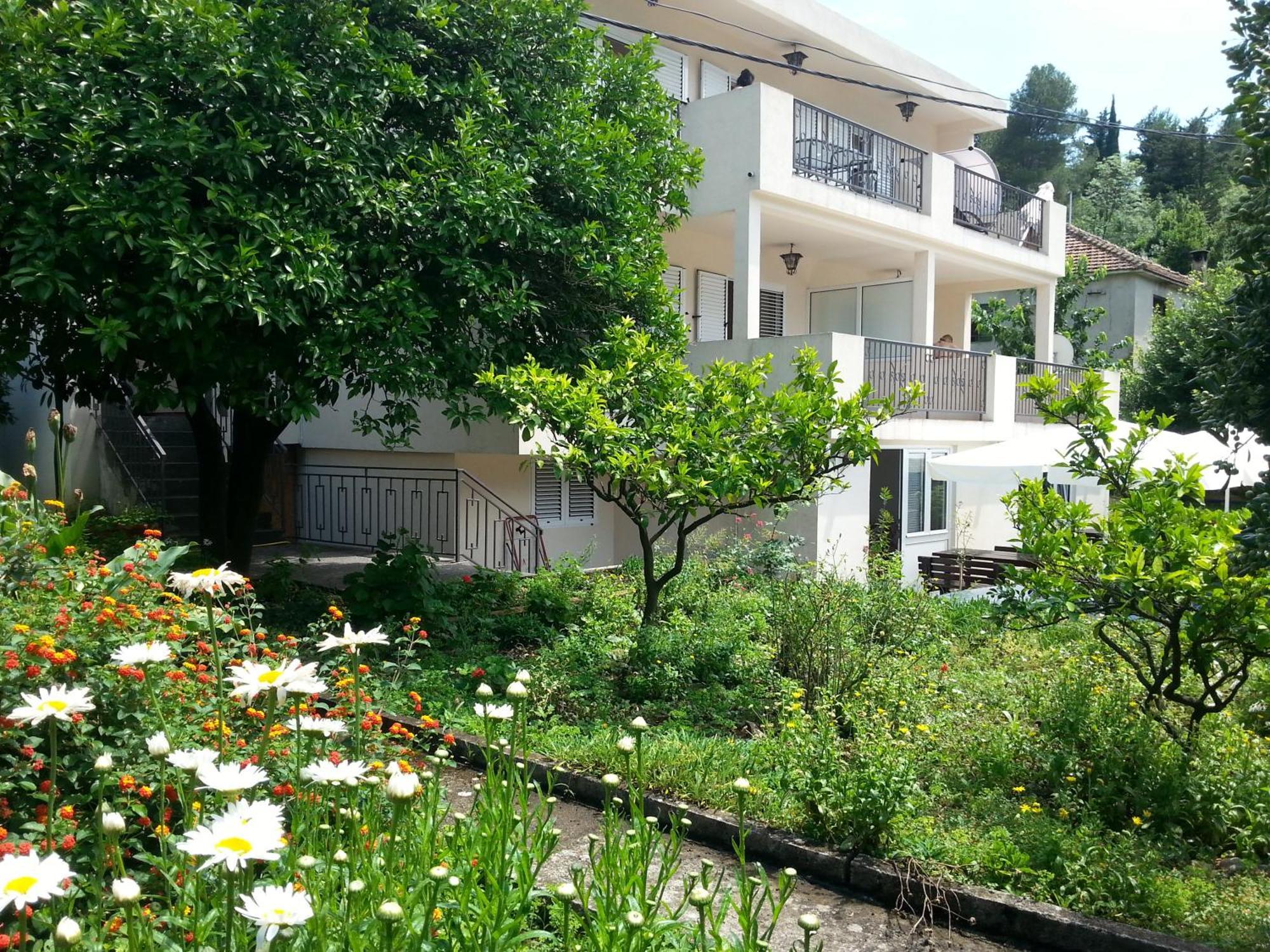 Apartments Pejanovic Κότορ Εξωτερικό φωτογραφία